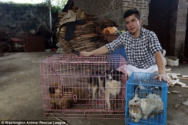 Ám ảnh ánh mắt cầu cứu của chú chó trong lò mổ