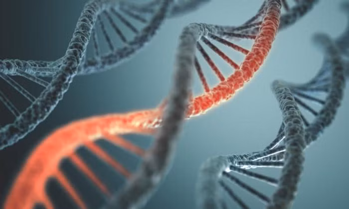 ADN bị xoắn và cuộn theo hình dạng 3D.