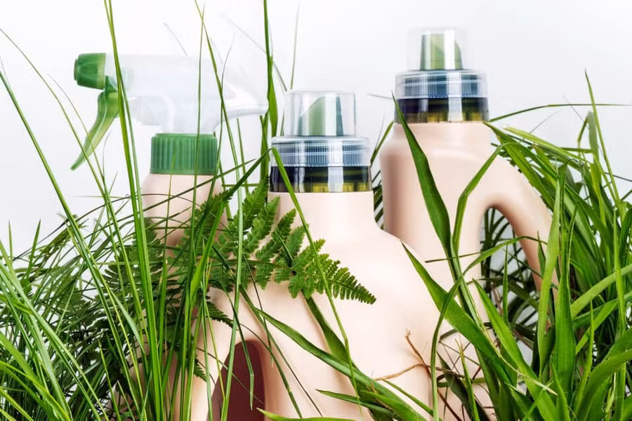 Nhựa từ thực vật được cho là thải ra ít vi nhựa hơn 9 lần so với nhựa thông thường. Ảnh: Earth