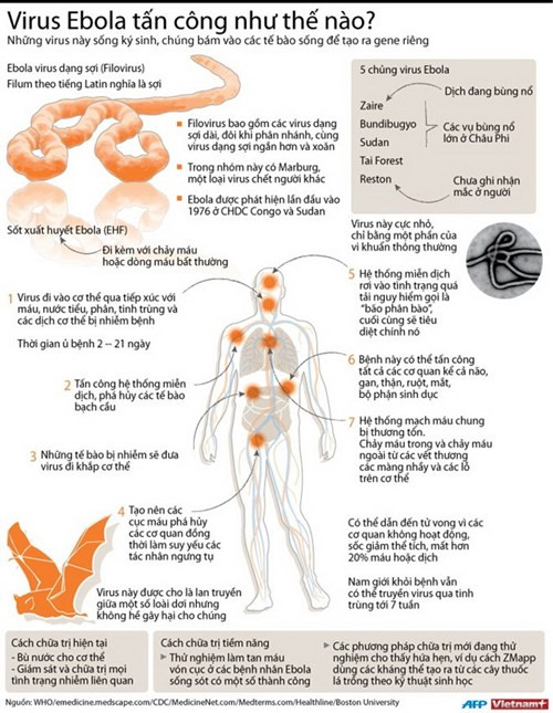 Triệu tập 2 cô gái tung tin thất thiệt về dịch bệnh Ebola