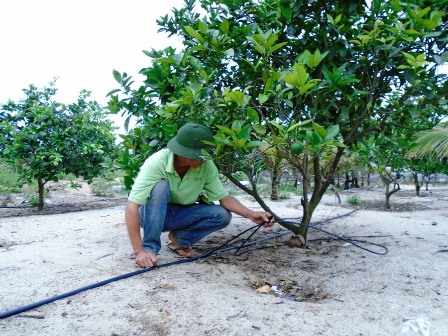 Ảnh minh họa: INT