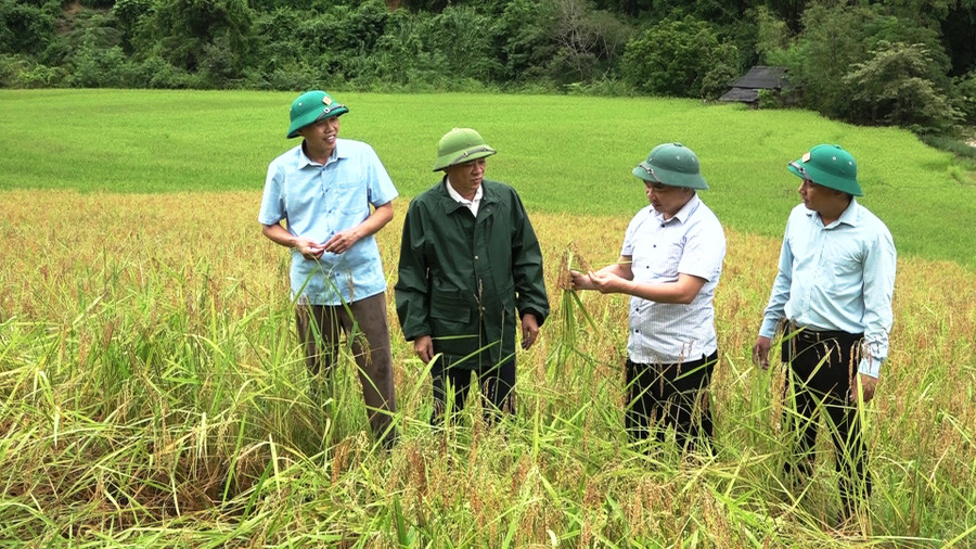 Lãnh đạo huyện Mường Lát (Thanh Hóa) kiểm tra tình hình thiệt hại sau mưa lũ. Ảnh: Thế Lượng Lãnh đạo huyện Mường Lát (Thanh Hóa) kiểm tra tình hình thiệt hại sau mưa lũ. Ảnh: Thế Lượng