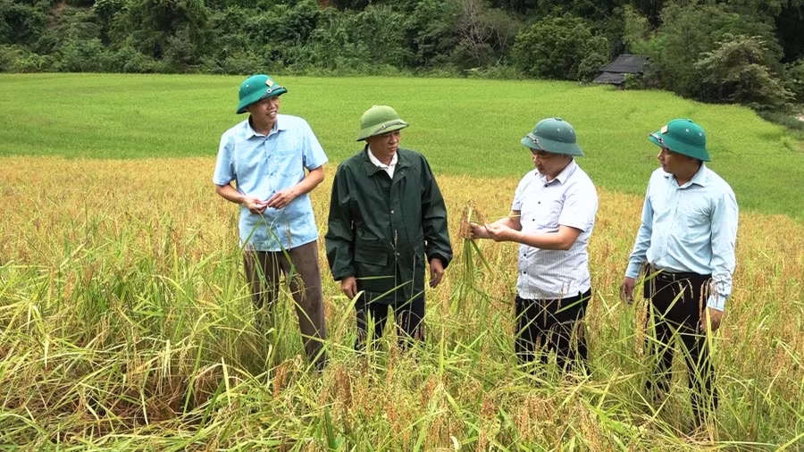 Lãnh đạo huyện Mường Lát (Thanh Hóa) kiểm tra tình hình thiệt hại sau mưa lũ. Ảnh: Thế Lượng