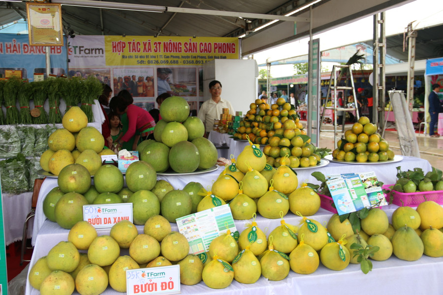 Gian hàng trưng bày bưởi đỏ và bưởi da xanh.