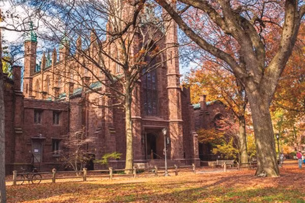 Ngôi trường “đốn tim” người học ảnh 3