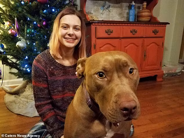 Cô bé Lu và chú chó Anja