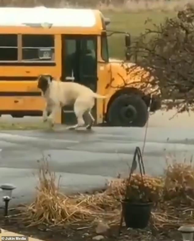 ...sau đó mới trở về nhà.