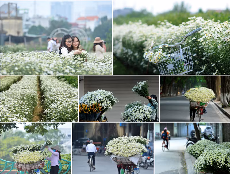 Ảnh minh họa/INT