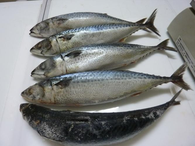 Dùng rượu có thể giúp khử mùi tanh cho cá biển. khử mùi tanh của biển