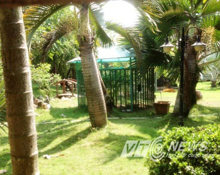 Khu vườn trong căn biệt thự của "đại gia" ở TP.HCM nơi xảy ra vụ gấu cắn cháu bé lìa cánh tay