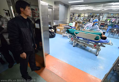 Cảm động bố mẹ mỗi người hiến một quả thận cứu hai con - 5