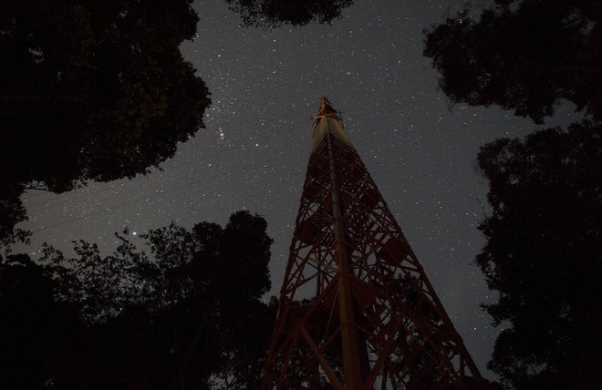 Tháp quan sát chọc trời giữa rừng Amazon ảnh 5