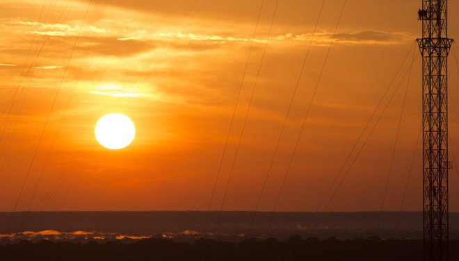 Tháp quan sát chọc trời giữa rừng Amazon ảnh 9