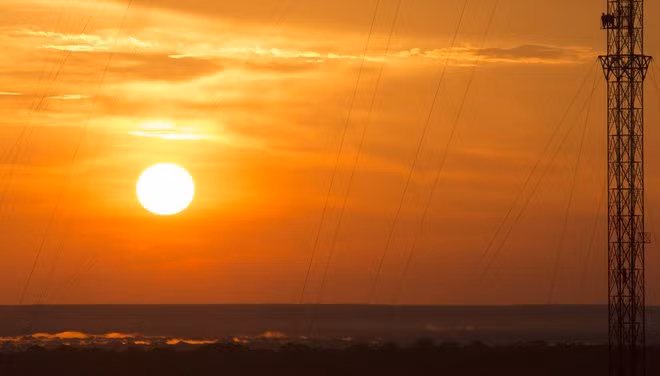 Tháp quan sát chọc trời giữa rừng Amazon ảnh 9