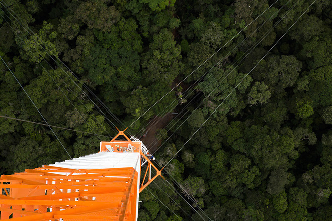 Tháp quan sát chọc trời giữa rừng Amazon ảnh 6