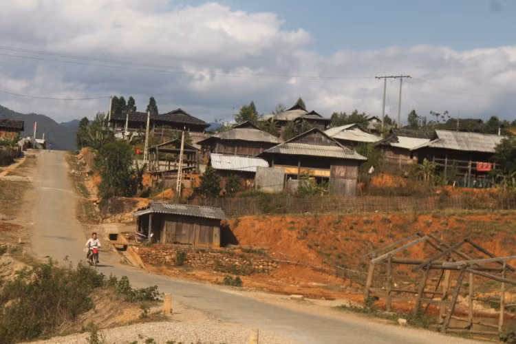 Những ngôi nhà sàn pơmu ở Ngọc Chiến có giá tiền tỉ.