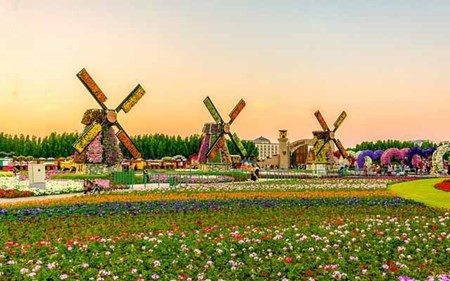 Chiêm ngưỡng vườn hoa đẹp như cổ tích giữa lòng sa mạc Chiem nguong vuon hoa dep nhu co tich giua long sa mac
