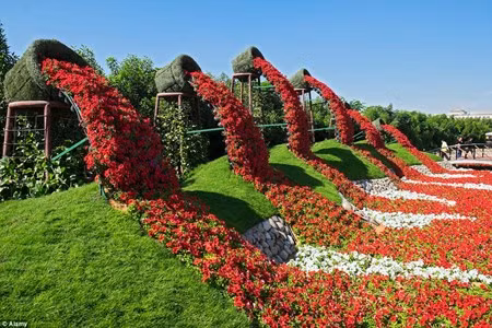 Chiem nguong vuon hoa dep nhu co tich giua long sa mac