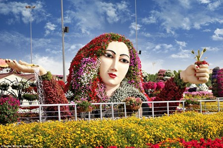 Chiêm ngưỡng vườn hoa đẹp như cổ tích giữa lòng sa mạc Chiem nguong vuon hoa dep nhu co tich giua long sa mac