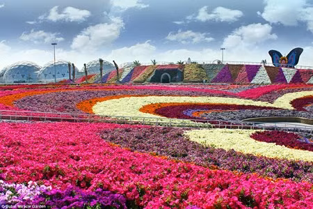 Chiem nguong vuon hoa dep nhu co tich giua long sa mac