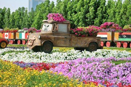 Chiêm ngưỡng vườn hoa đẹp như cổ tích giữa lòng sa mạc Chiem nguong vuon hoa dep nhu co tich giua long sa mac