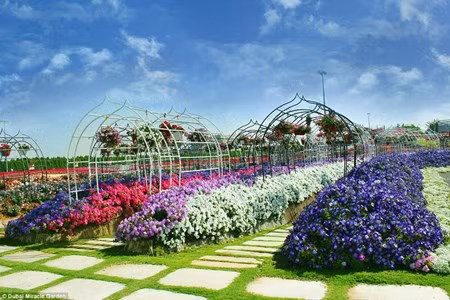 Chiem nguong vuon hoa dep nhu co tich giua long sa mac