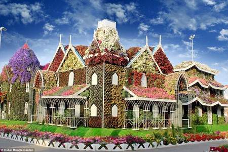 Chiêm ngưỡng vườn hoa đẹp như cổ tích giữa lòng sa mạc Chiem nguong vuon hoa dep nhu co tich giua long sa mac