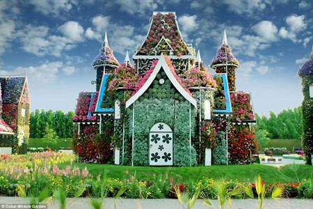 Chiêm ngưỡng vườn hoa đẹp như cổ tích giữa lòng sa mạc Chiem nguong vuon hoa dep nhu co tich giua long sa mac