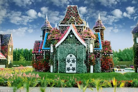 Chiem nguong vuon hoa dep nhu co tich giua long sa mac