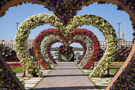 Chiem nguong vuon hoa dep nhu co tich giua long sa mac