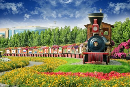 Chiêm ngưỡng vườn hoa đẹp như cổ tích giữa lòng sa mạc Chiem nguong vuon hoa dep nhu co tich giua long sa mac