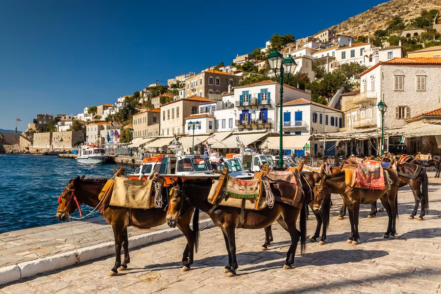 Ngựa phụ trách toàn bộ việc vận chuyển trên đảo Hydra. Ảnh: Edition.cnn.com