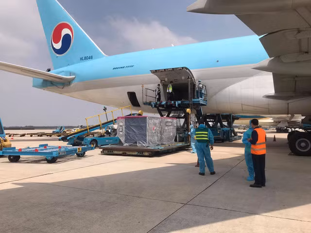 Vào 11h hôm nay (24/2), lô vaccine phòng COVID-19 đầu tiên có mặt tại Việt Nam. Ảnh: Vũ Em.