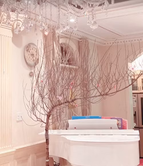 Những ngày giáp Tết, ca sĩ Minh Hằng cũng khoe vừa sắm được cành đào có thế đẹp đón Tết, chỉ mong đào sớm nở hoa.