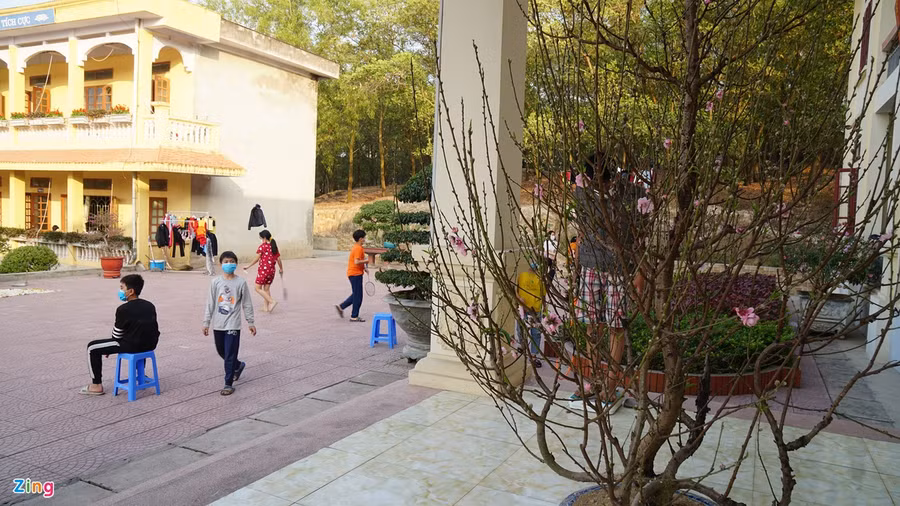 Phụ huynh chuẩn bị đào, quất, học sinh trang trí bảng, sắp mâm ngũ quả khiến khuôn viên khu cách ly trường THCS Sao Đỏ đậm chất Tết. Ảnh: Nguyễn Dương.