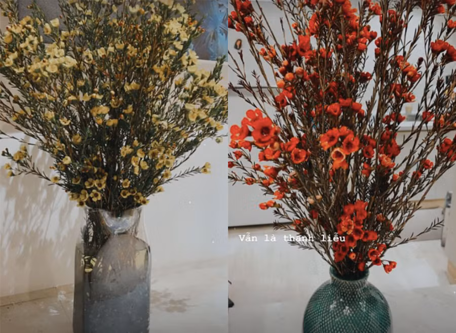 Căn hộ của siêu mẫu Thanh Hằng được trang trí rất nhiều hoa thanh liễu mang sắc vàng, đỏ cam,... loại hoa được nhiều người yêu thích cắm trong dịp tết những năm gần đây.