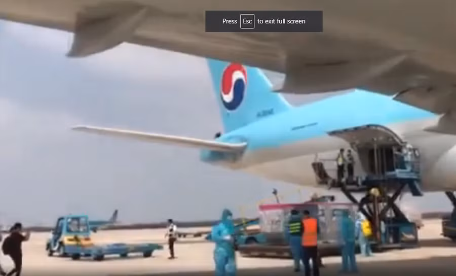 Nhân viên hàng không dỡ lô vaccine COVID-19 đầu tiên. Nguồn: VTV.