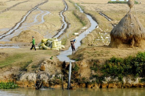Xâm nhập mặn Sông Vàm Cỏ Đông và Tây có khả năng đạt mức 90-95km
