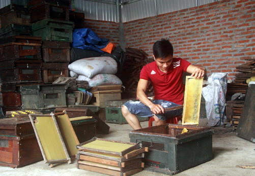 Thanh niên 9X thành tỷ phú nhờ nuôi ong mật ảnh 1 Thanh niên 9X thành tỷ phú nhờ nuôi ong mật ảnh 1