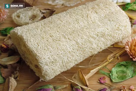 Nhung tac dung chua benh tot khong ngo toi cua xo muop - Anh 2