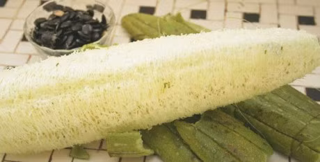 Nhung tac dung chua benh tot khong ngo toi cua xo muop - Anh 1