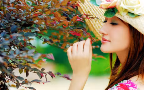 Phu nu dau can nghieng nuoc nghieng thanh, chi can 1 nguoi dan ong nghieng ve co ay thoi - Anh 1