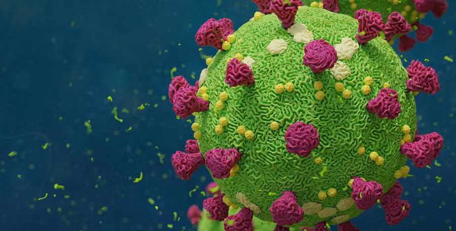 Vắc-xin mới sử dụng các phân tử mARN để dạy tế bào của chính cơ thể tạo ra những đoạn protein của virus.