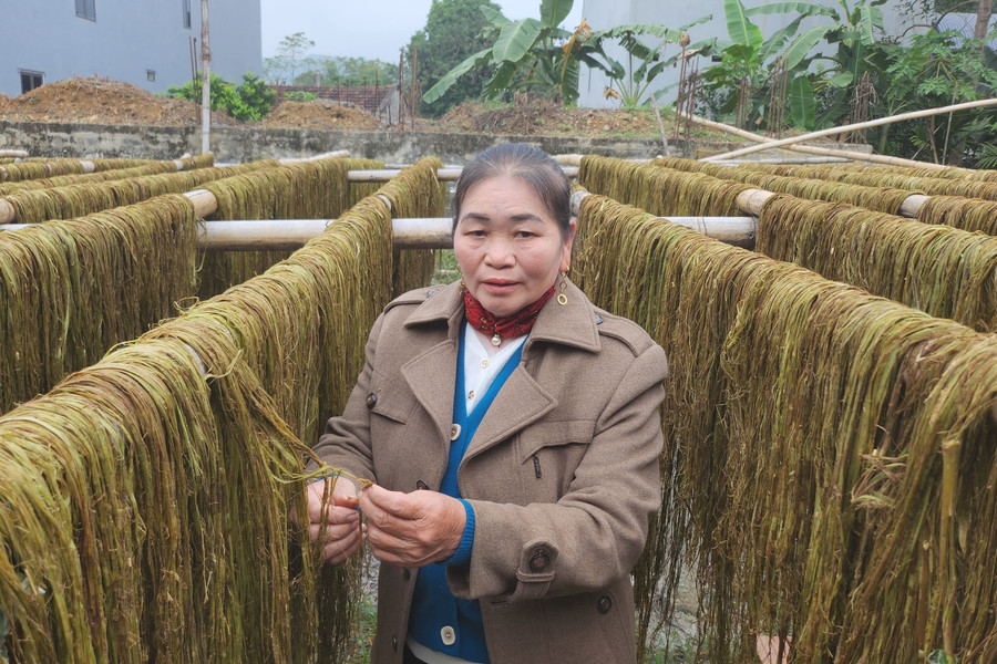 Người nông dân bên vỏ cây gai xanh. Người nông dân bên vỏ cây gai xanh.