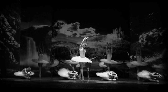 Xem múa ballet Hồ Thiên nga với công nghệ 3D ảnh 4 Xem múa ballet Hồ Thiên nga với công nghệ 3D