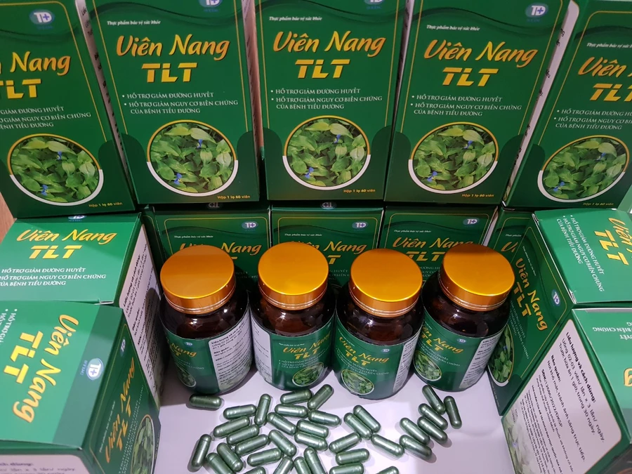 Thuốc trị đái tháo đường tuyp 2 từ cây thài lài trắng.