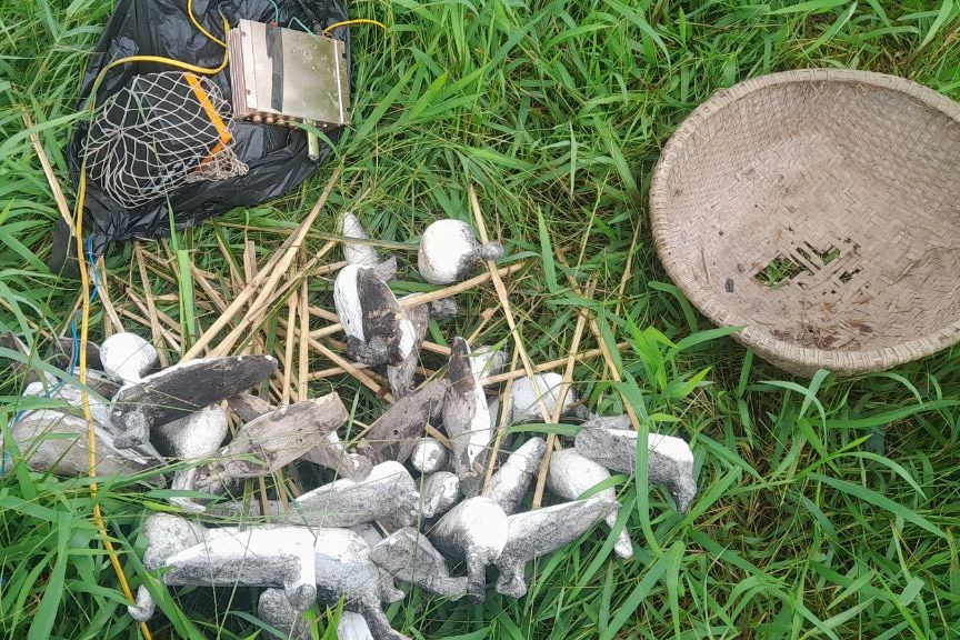 ...tháo dỡ bẫy chim trên các cánh đồng. ...tháo dỡ bẫy chim trên các cánh đồng.