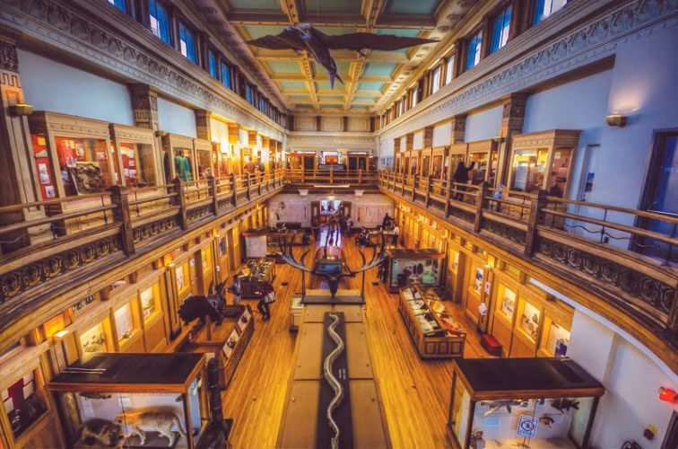 "Trường Đại học Harvard" của xứ sở lá phong ảnh 3