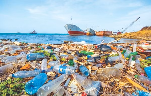 Rác thải nhựa đang ảnh hưởng đến môi trường đại dương của chúng ta