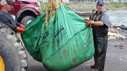 Quả tim cá voi xanh chuẩn bị được mang đi bảo quản. Ảnh: BBC Quả tim cá voi xanh chuẩn bị được mang đi bảo quản. Ảnh: BBC